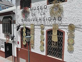 Conoce el Museo de la Biodiversidad en Ibi (Alicante)